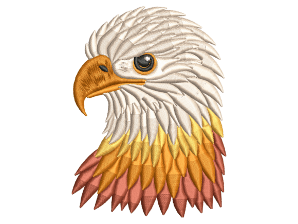Bald Eagle Portrait Embroidery Review